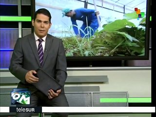 Brasil lanza programa para beneficiar a miles de familias campesinas