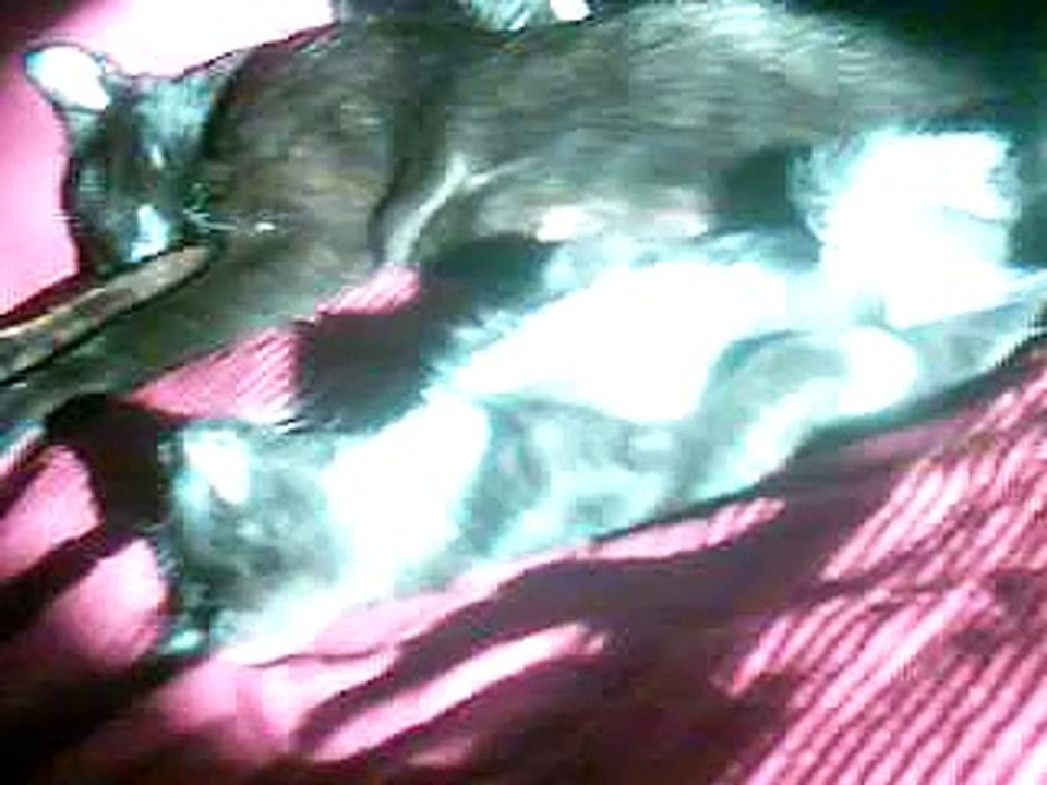 sleeping