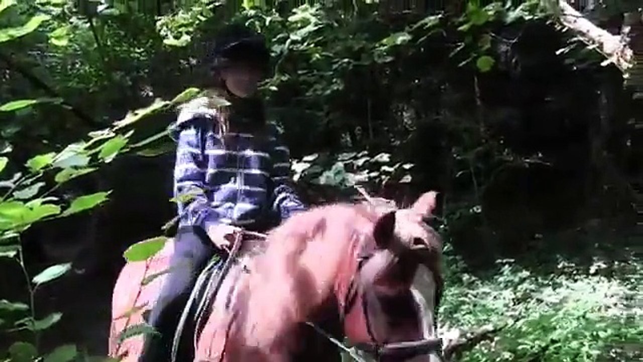 Brand New Pony  (from A Storybook of Children's Songs)