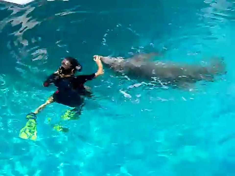 Winter the Dolphin Part 3