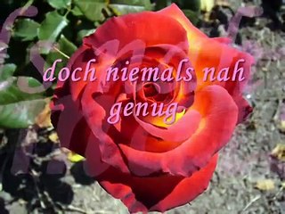 ein anderes Gefühl von Schmerz