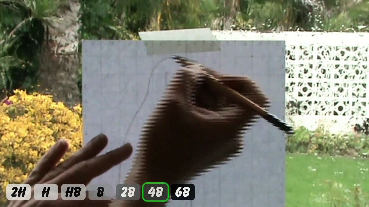 How to draw animal fur step by step - Lets Draw How to draw step by step pencil drawing course