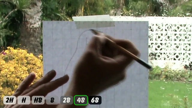 How to draw animal fur step by step - Lets Draw How to draw step by step pencil drawing course