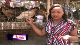 Women and Power: Chicken rearing