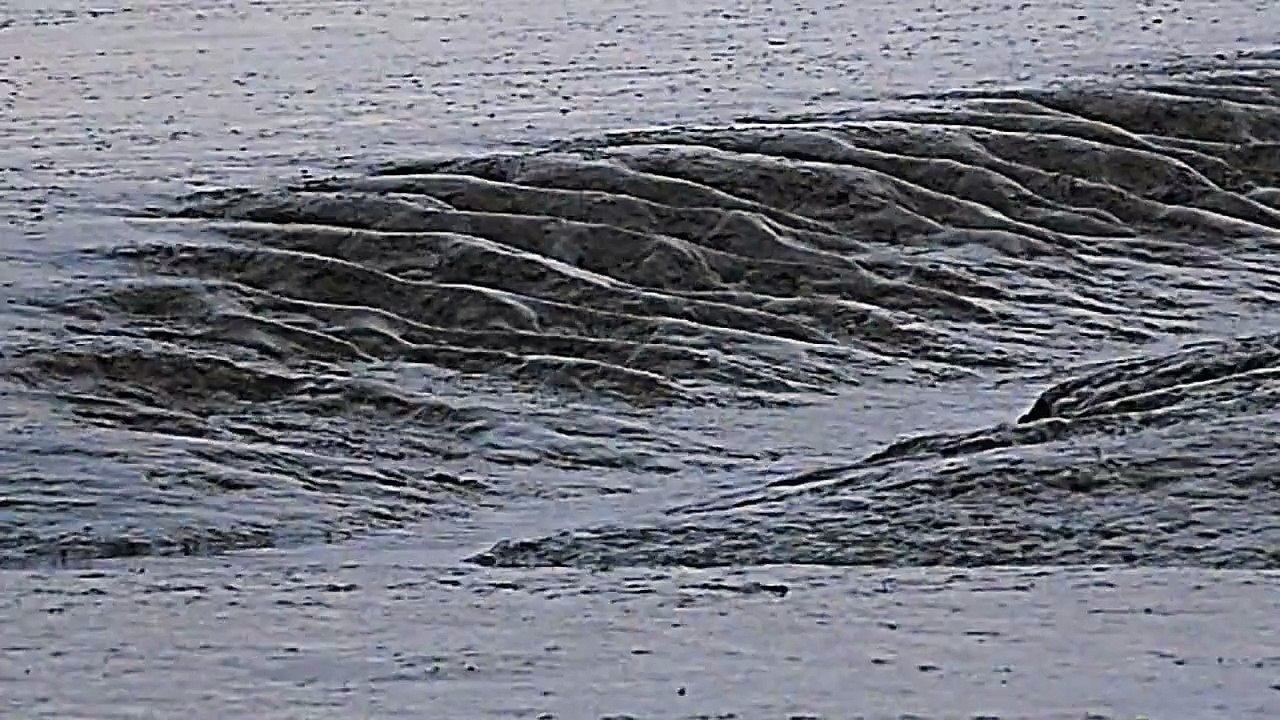 Watt im Jadebusen. Winter bei Ebbe. Pril und Furchen. Friesische Küste. Frisian Coast at Jadebay.