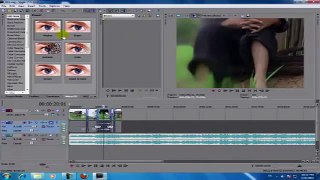 How to Study Sony Vegas​ lesson 9