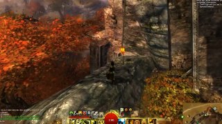 [Guild Wars 2] Aussichtspunkt - Der durchbrochene Wall