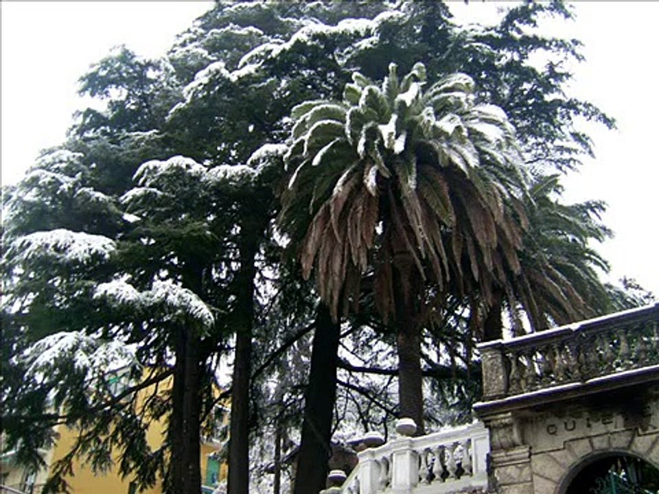 11-2-2013 Neve! Camogli Ruta San Martino di Noceto e ritorno