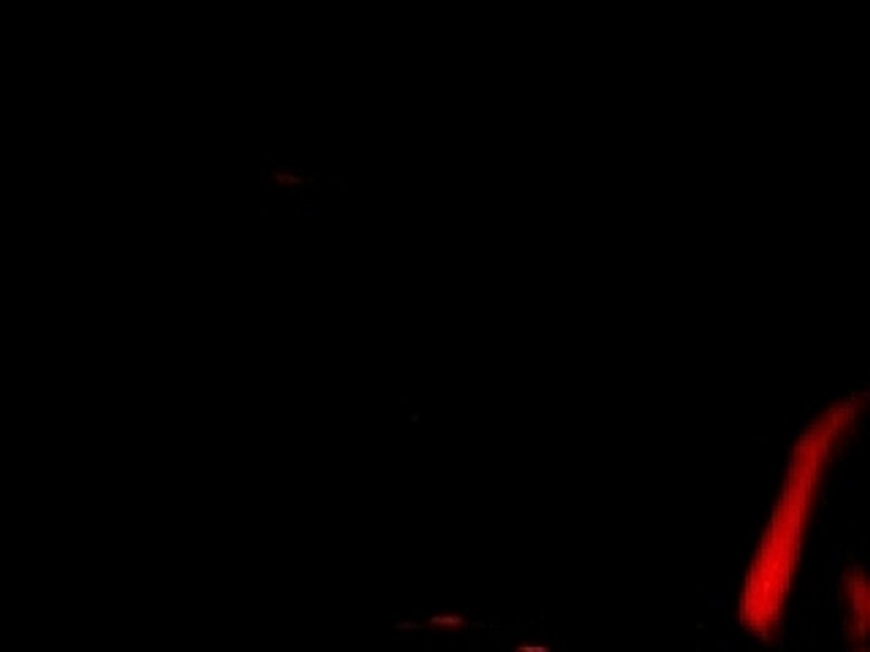 Le parc où l'on s'aimait