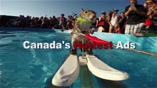 Canada's Hottest Ads (July) with Karen Howe