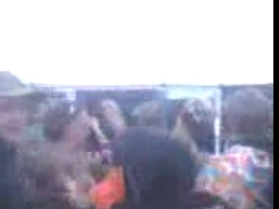 Live taz 3