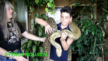 Visite des instalations d'un Capacitaire Venimeux et Crocodiliens