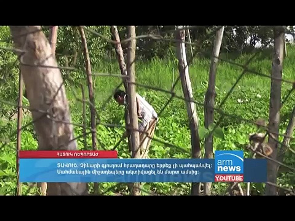 Կյանքի ու մահվան խաչմերուկում.Չինարի