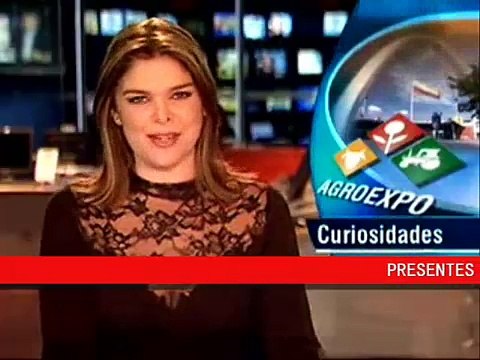 Talabarteria ppp, Articulos de Cuero para el caballo