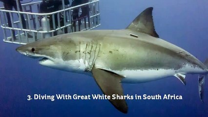 10 INCREDIBLE THRILL SEEKING ADVENTURES TO DO AROUND THE WORLD