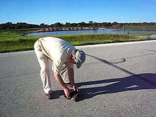 David "rescues" a Snapping Turtle!