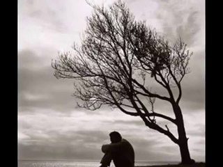 talib tale - xatireler yalvarir