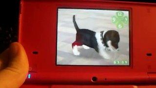 How To Get Your Nintendogs To Breed