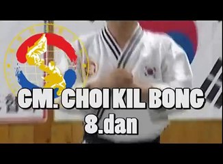 GM  Choi Kil Bong 8 dan   Daehan Minguk Hapkido Europe