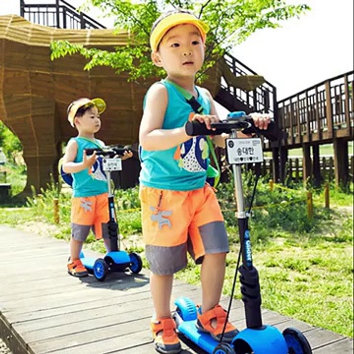 Daehan Minguk Manse - Ice Cream Cake