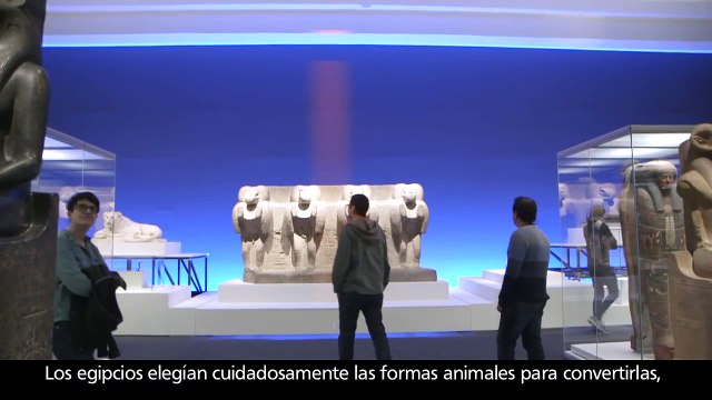 Animales y faraones - El reino animal en el antiguo Egipto