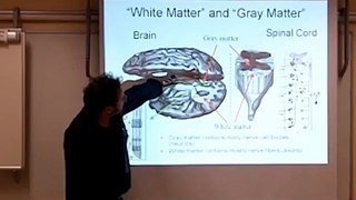how your brain works 1.2: electricity from salty water