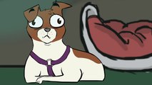 The new Dog, Animated Short