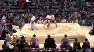 Sumo Wrestling - Highlights