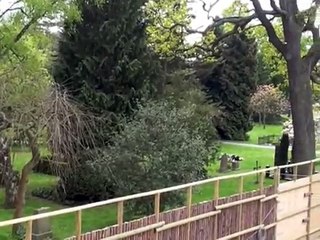 Excavating Assistens Cemetary