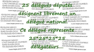 Révoquons Sarkozy ! 25 délégateurs pour un délégué de base  (Amadis & Toutain)