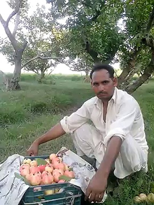 mama satar