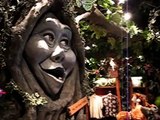 Rainforest Cafe - Sights and Sounds