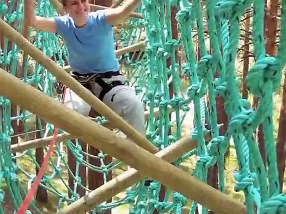 de Pino a Pino: aventura en los árboles