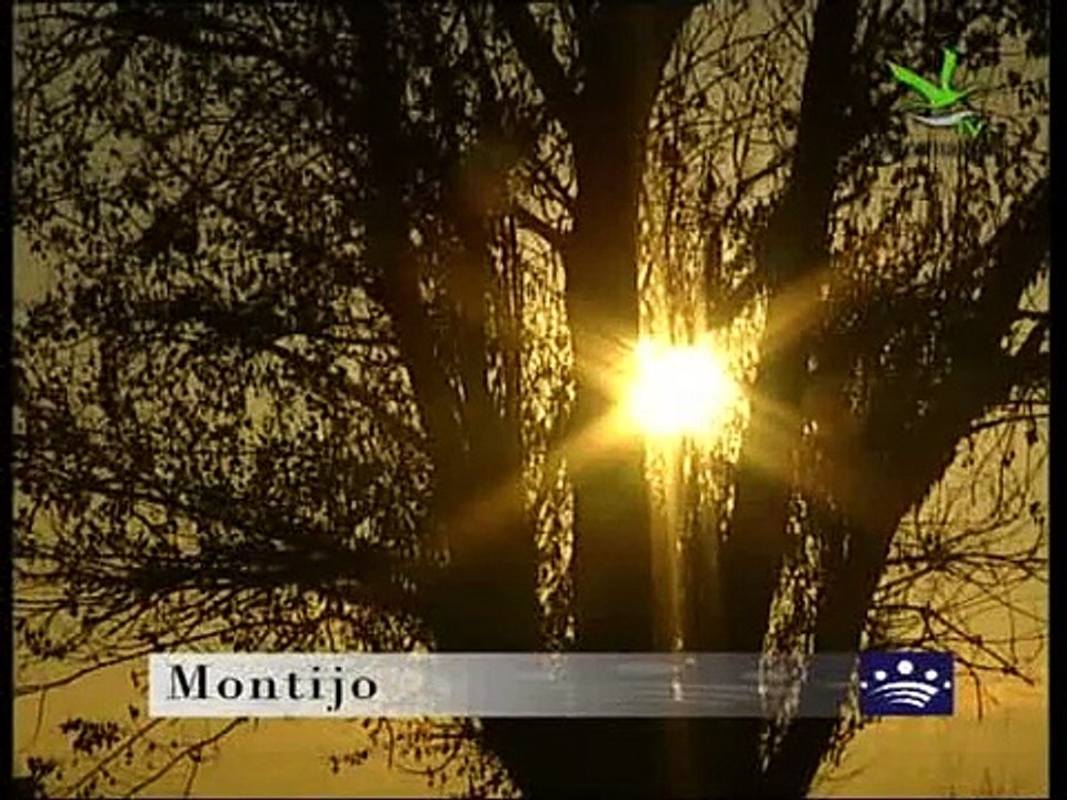 Montijo "Extremadura TV"