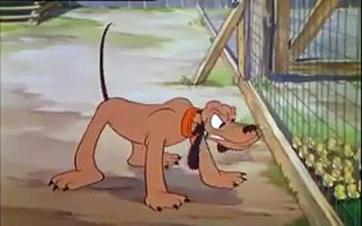 Walts disney. Silly Symphonies papa pluto