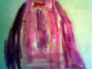 My FNaF Bonnie Fanart Read Discription pls