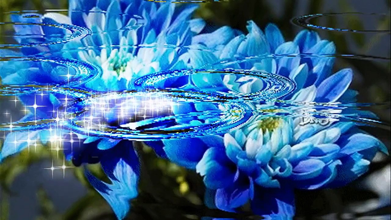 Chris Spheeris "Восхождение души" (монтаж Н.Бурлакова)