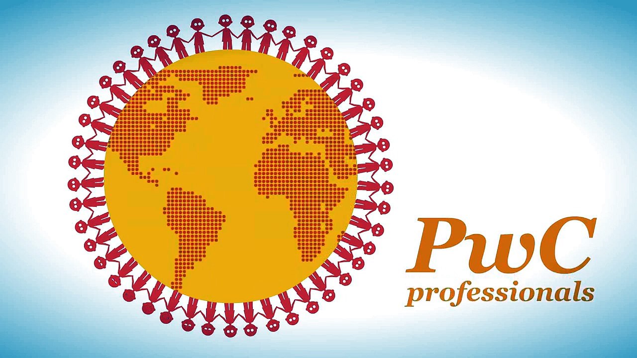 The PwC Professional