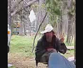 Little Hawk ( The Legend Of The EverGreen Trees )