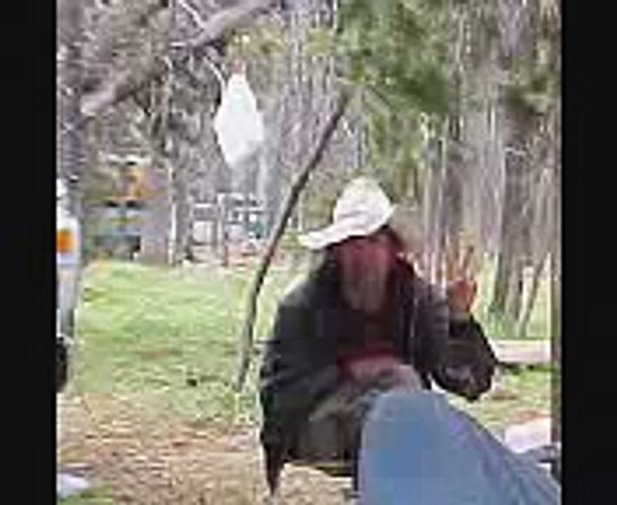 Little Hawk ( The Legend Of The EverGreen Trees )