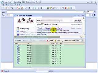 Portect Your Website With Pangolin