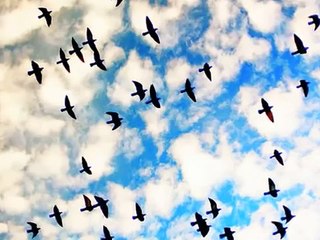 Yon Ti Souf Pou Haiti - MikaBen, Mickael Guirand, TiJoe, Tifane