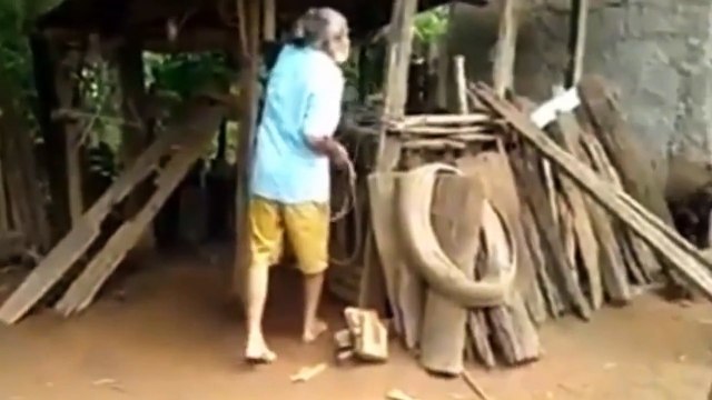 Melhores vídeos do WhatsApp - Só boas risadas