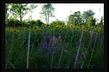 Night Music: Deeper Well"