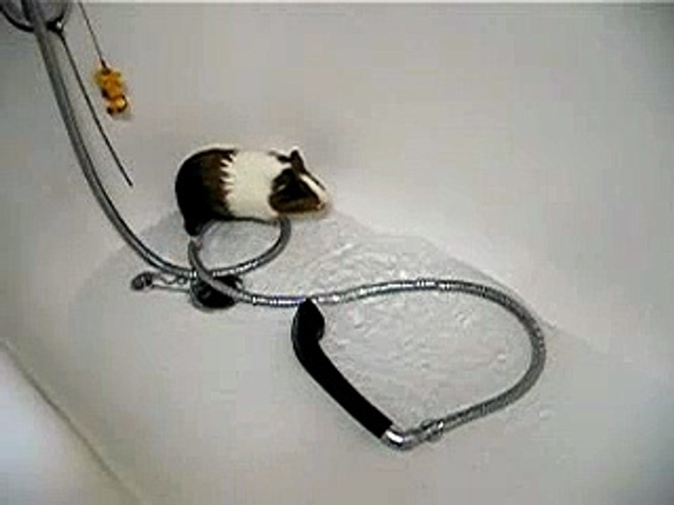 eme baño