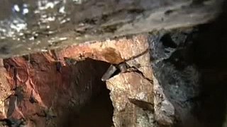 Secret Mines: Secrets of Underground Britain