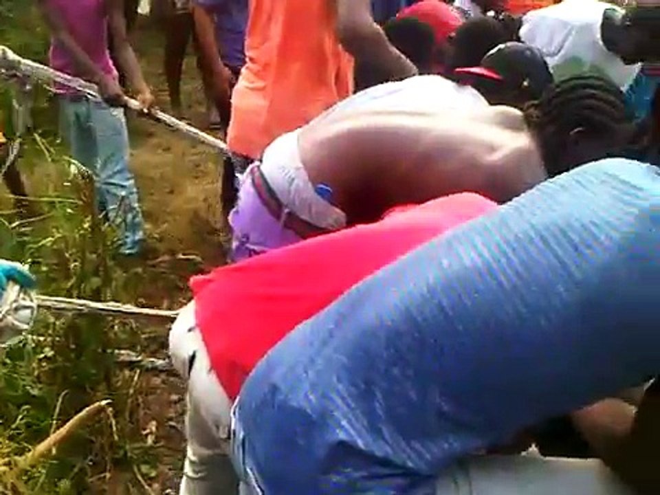 croc captured in jamaica marcus garvey drive vicinty the trainline majesty gardens