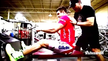 Vitor "The Phenom" Belfort Highlights {HD}