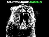 Martin Garrix Animals carnaval remix 2015