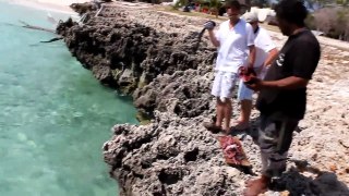 Feeding Sharks - Aldabra, Seychelles